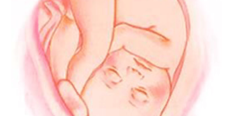 Расположение малыша в животике. 36 недель икает