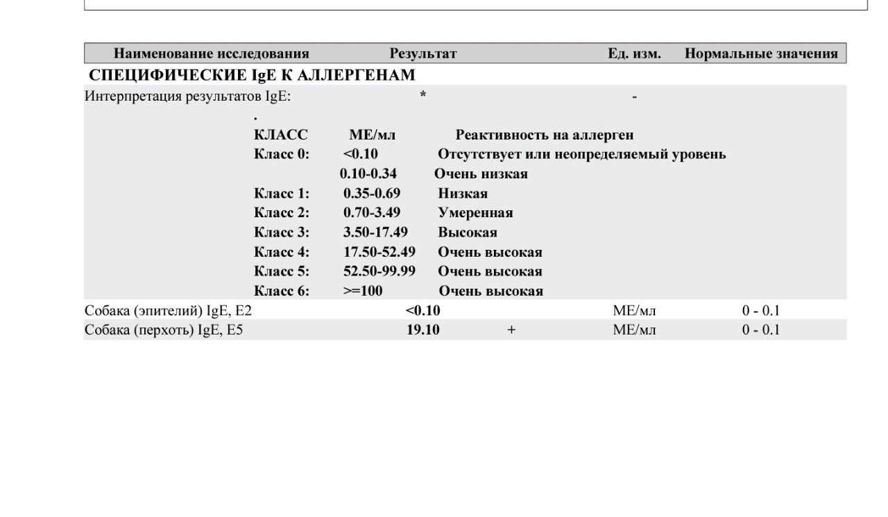 Как распознать аллергию у детей на животных: Секреты быстрой диагностики