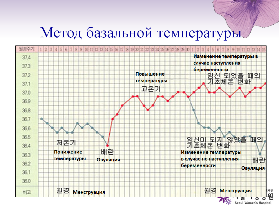 Какая базальная температура при беременности до задержки. График базальной температуры. Базальная температура при беременности. Базальные температура при беремености. Графики базальной температуры при беременности.