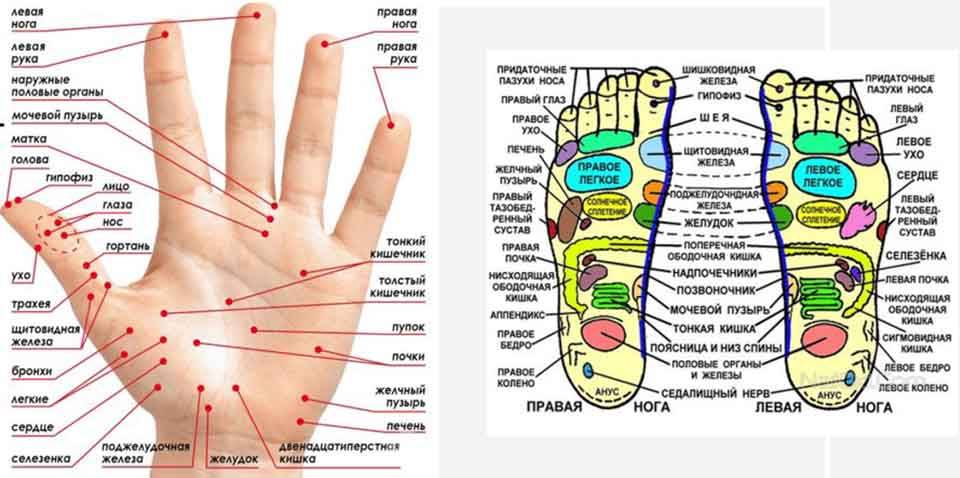 Точечный массаж руки схема