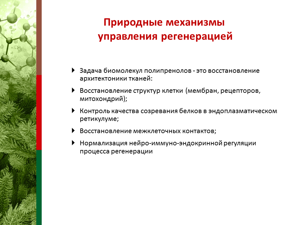 механизм часов. природные механизмы. кремний испарение из растения. гестационная перестройка спиральных артерий. этапы развития геоэкологии.