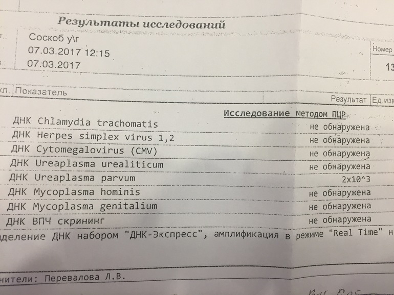 Пцр анализ уреаплазма