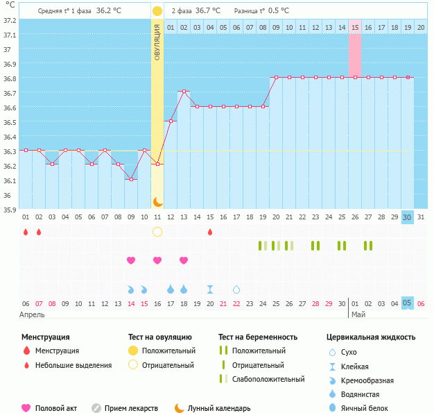 Как базальная температура предскажет беременность: Секреты раннего распознавания