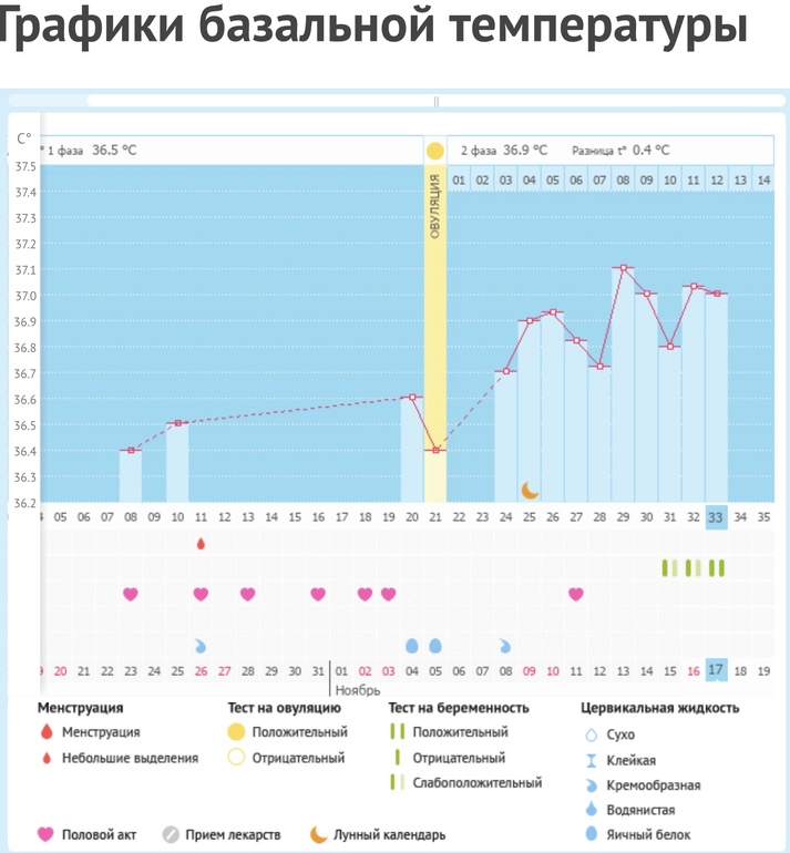 Фактом курс