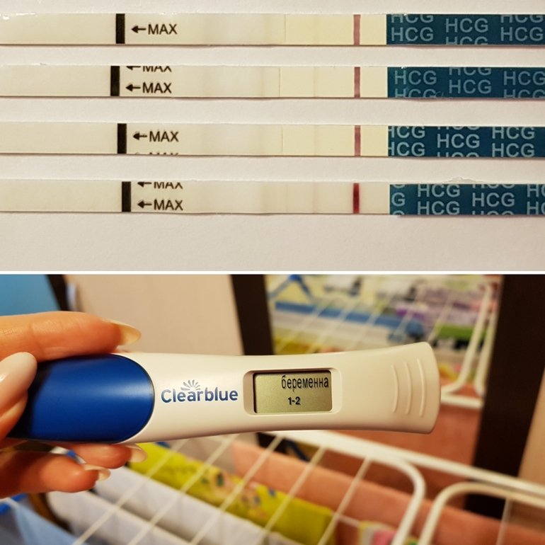 1 день задержки тест на беременность