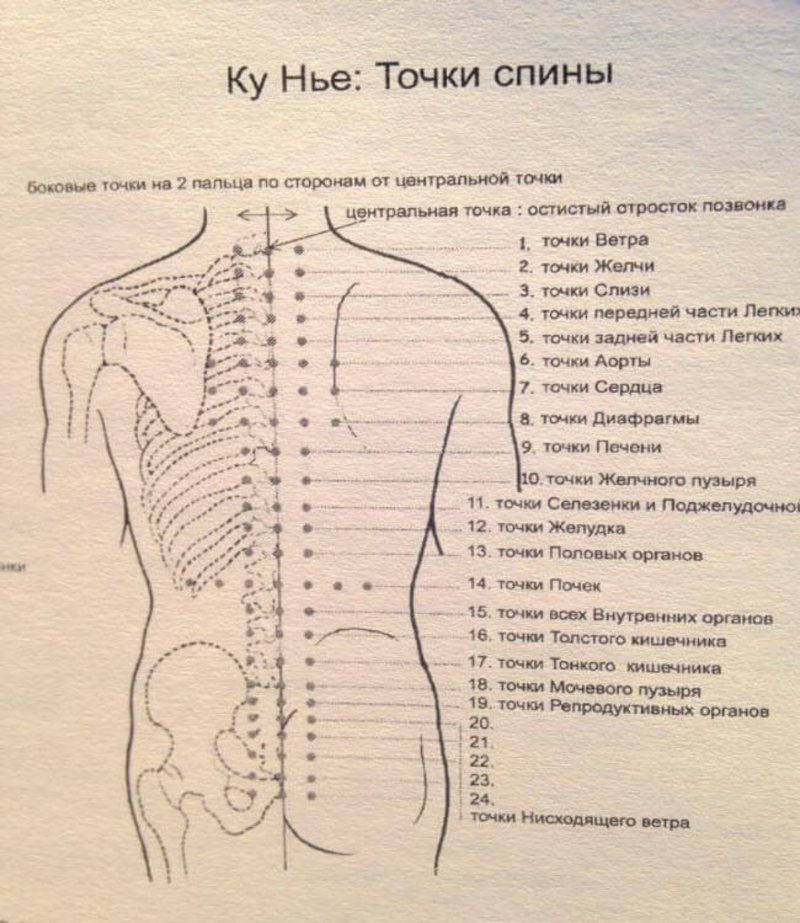 Акупунктура схема точек. Точки акупунктуры на спине. Точечный массаж спины схема точек. Точки на спине для массажа для расслабления мышц. Активные точки на спине акупунктура.