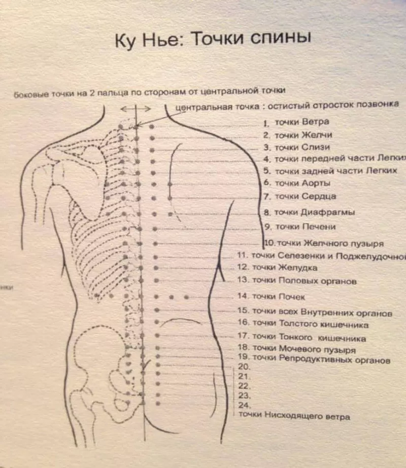 Спина зоны боли. Акупунктура тела человека схема болевые точки. Точечный массаж спины схема точек. Точки на спине для массажа для расслабления мышц. Активные точки на спине акупунктура.