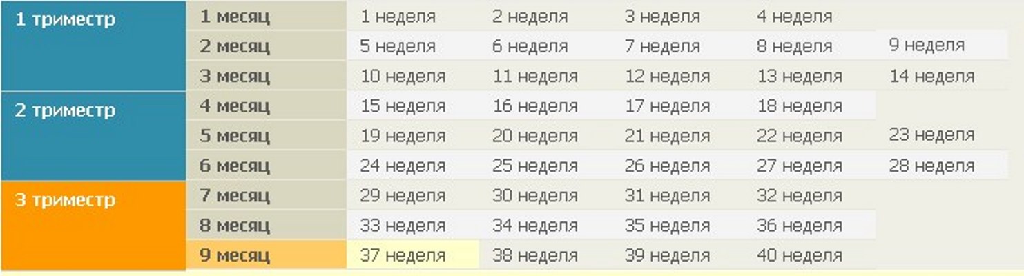 В 6 месяцев сколько недель: Раскрываем тайны календаря для молодых родителей