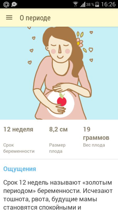 17 недель беременности вес