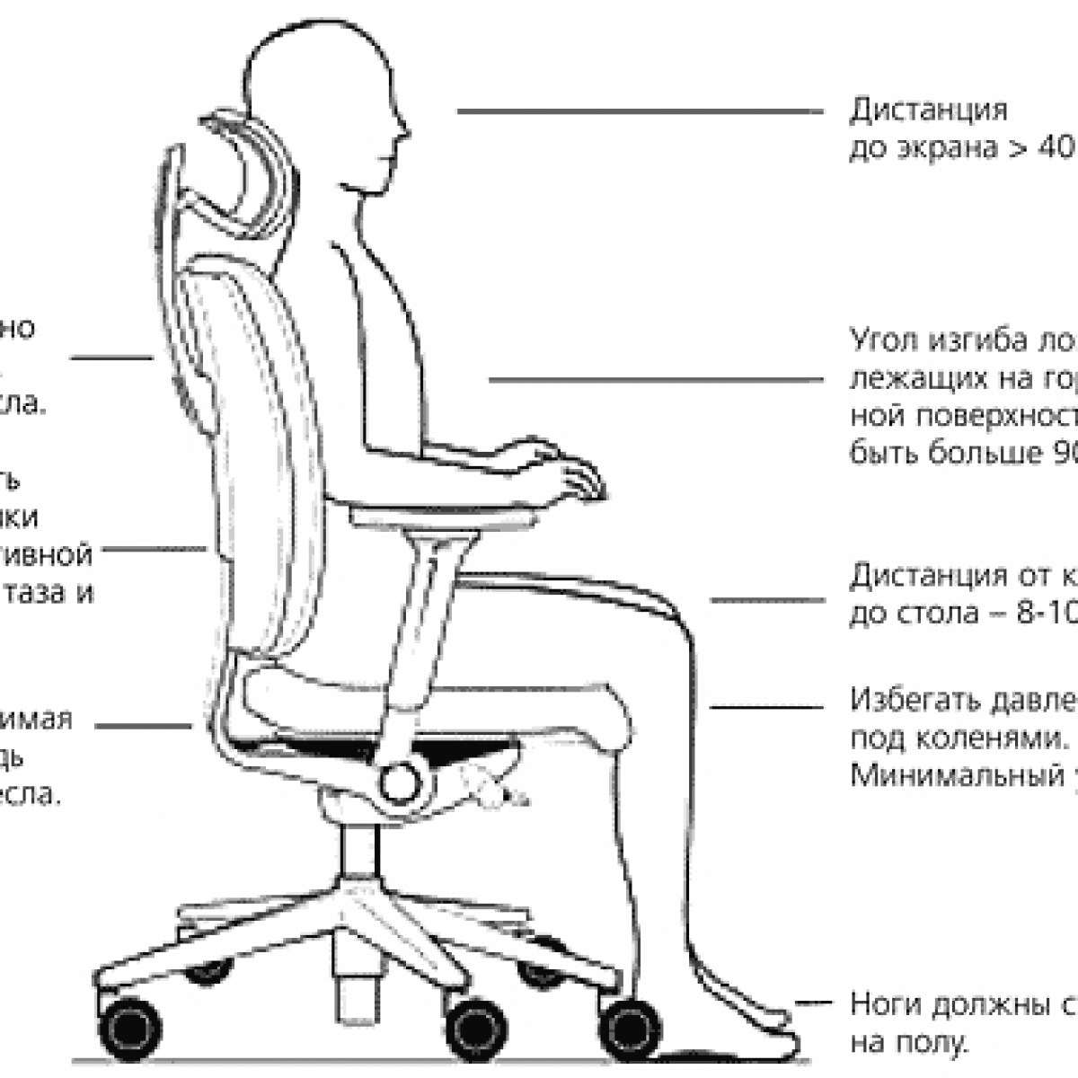 Стул болит поясница. Как выбрать высоту спинки компьютерного кресла. Правильная эргономика кресла. Стул для офиса эргономика. Эргономика компьютерного кресла.