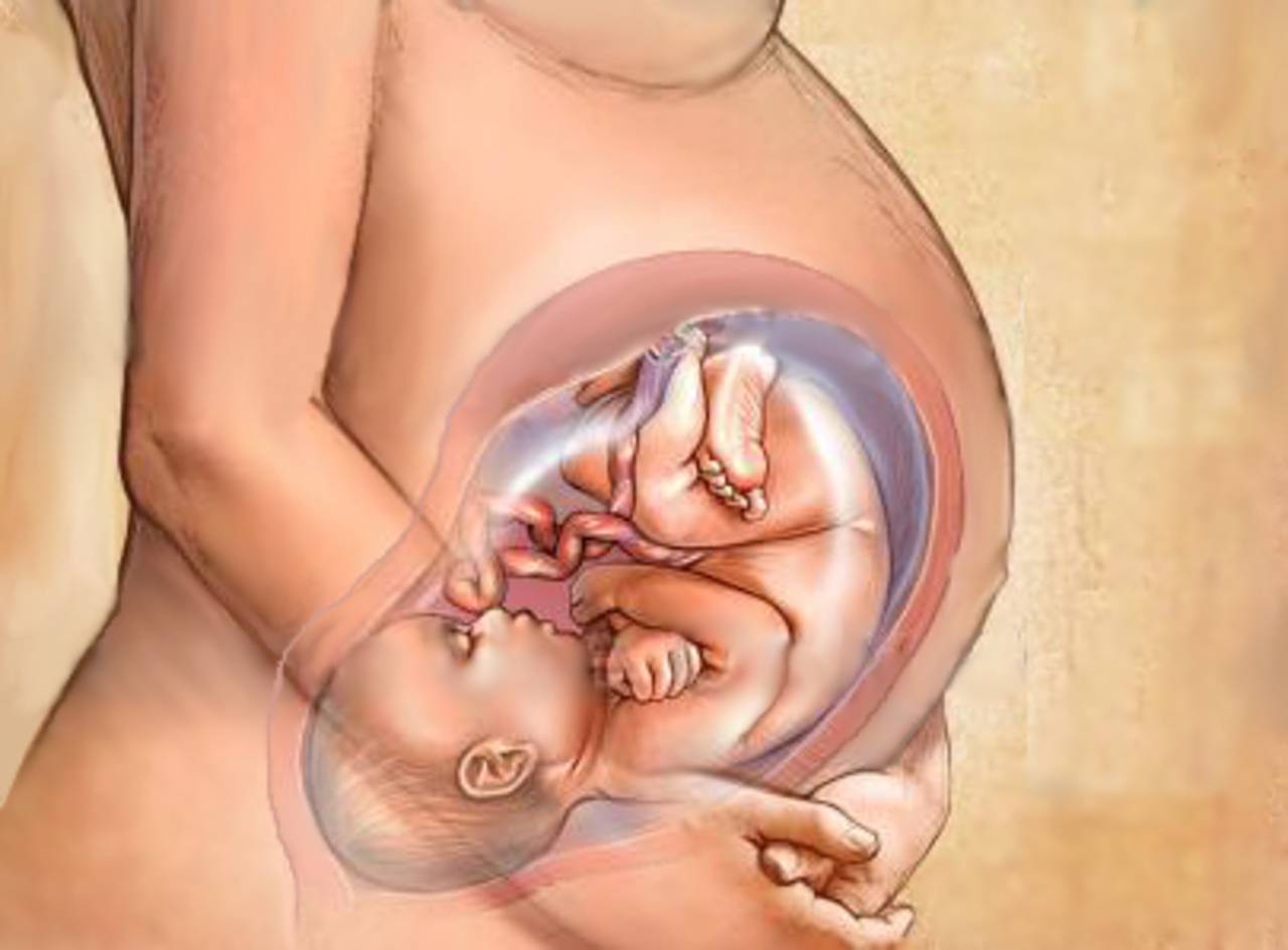 Как меняется плод во время беременности: Захватывающее путешествие новой жизни
