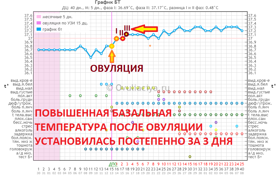 Как измерить базальную температуру при беременности: Секреты точного мониторинга