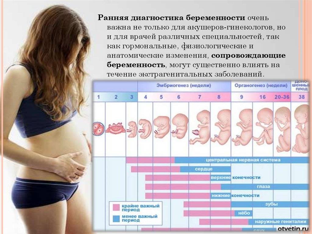 Как измерить беременность в неделях: Секреты точного подсчета