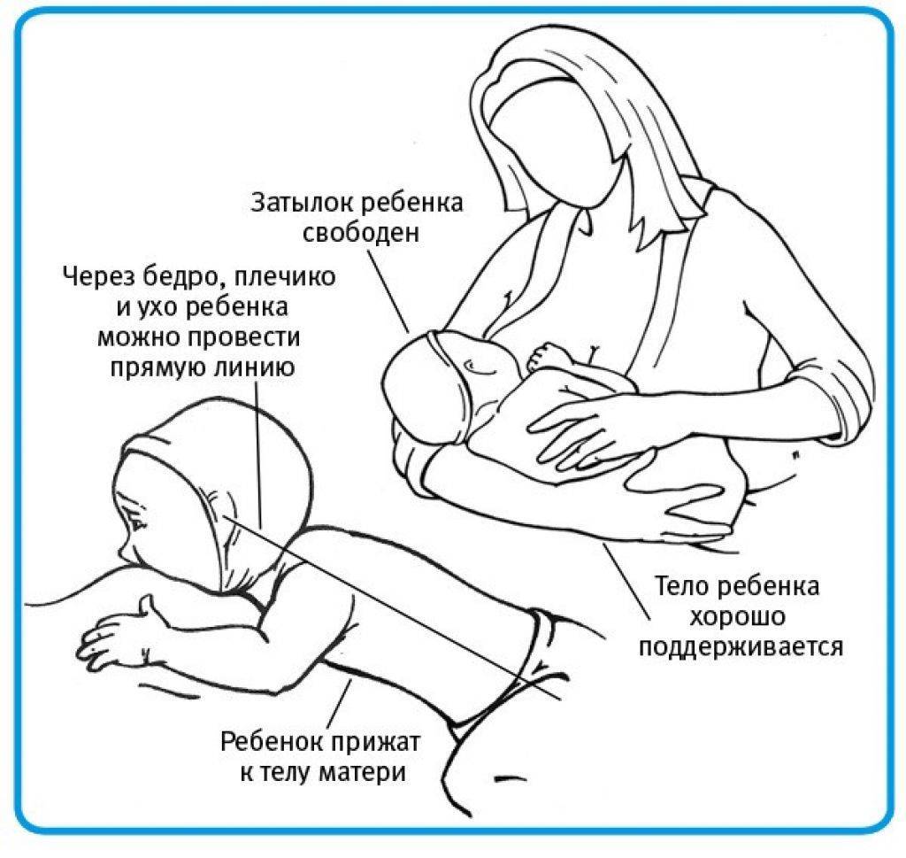 В каком положении кормить новорожденного из бутылочки: Секреты комфортного вскармливания