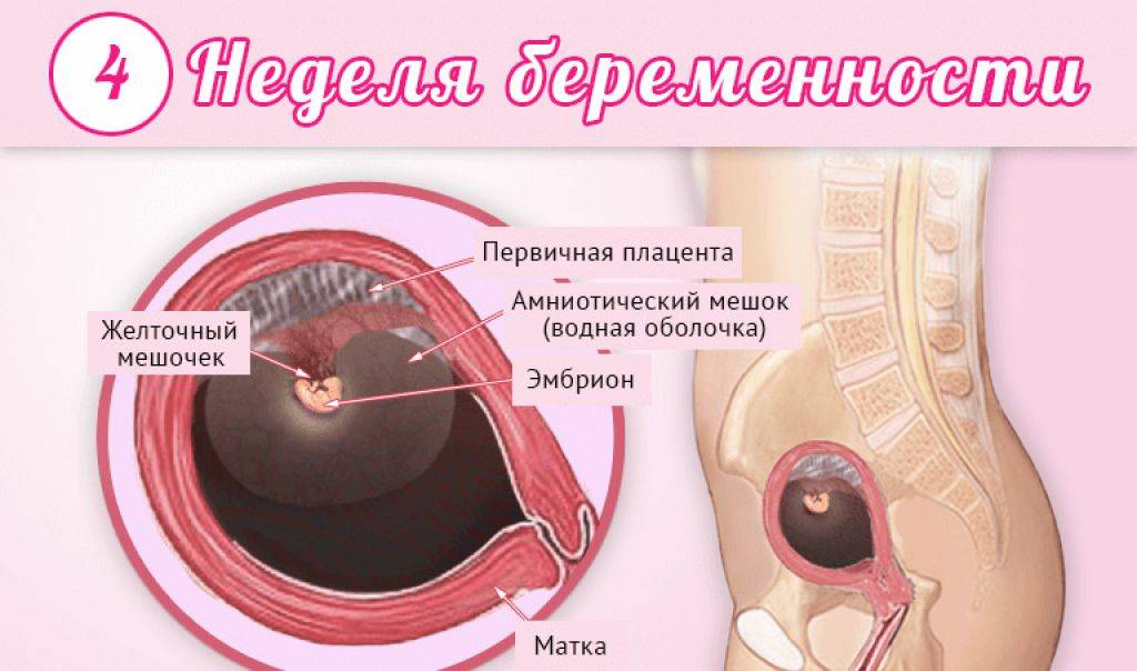Как проходит беременность на 9 неделе: Удивительные изменения в организме