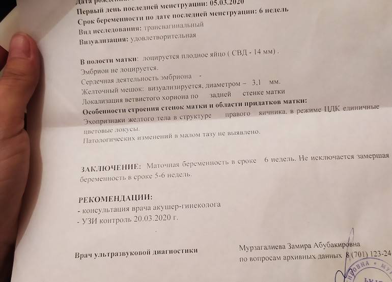 Как диагностировать беременность на ранних сроках: Что нужно знать о плодном яйце