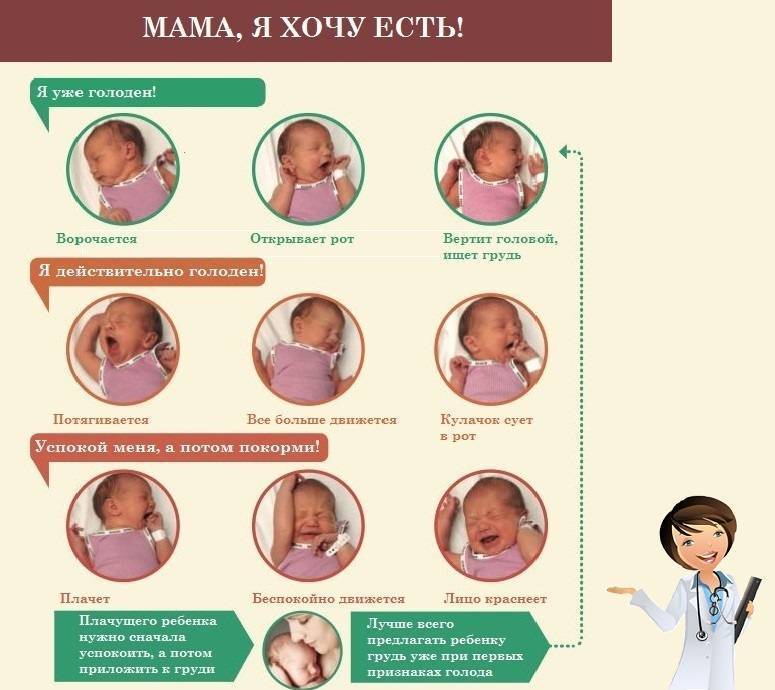 Как определить переедание у грудничка: Секреты правильного кормления