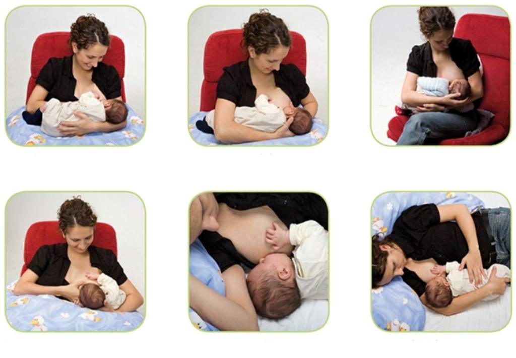 Как правильно кормить новорожденного грудным молоком: Секреты сытого малыша