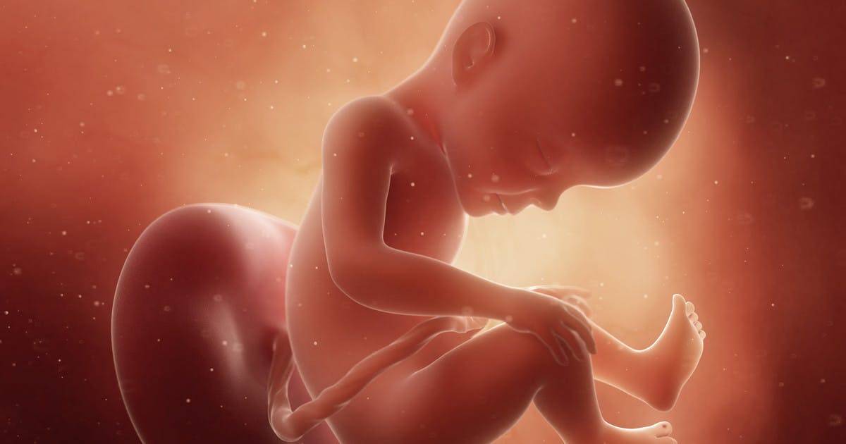 26-27 недель беременности: что важно знать будущим мамам