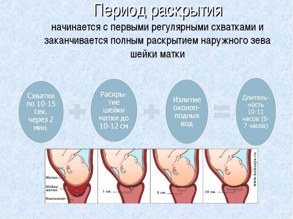 Где при схватках болит живот: Раскрываем секреты родовых ощущений