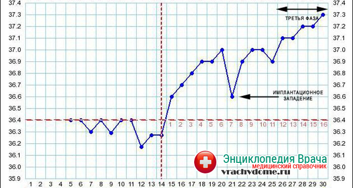 Как измерить базальную температуру при беременности: Секреты точного мониторинга