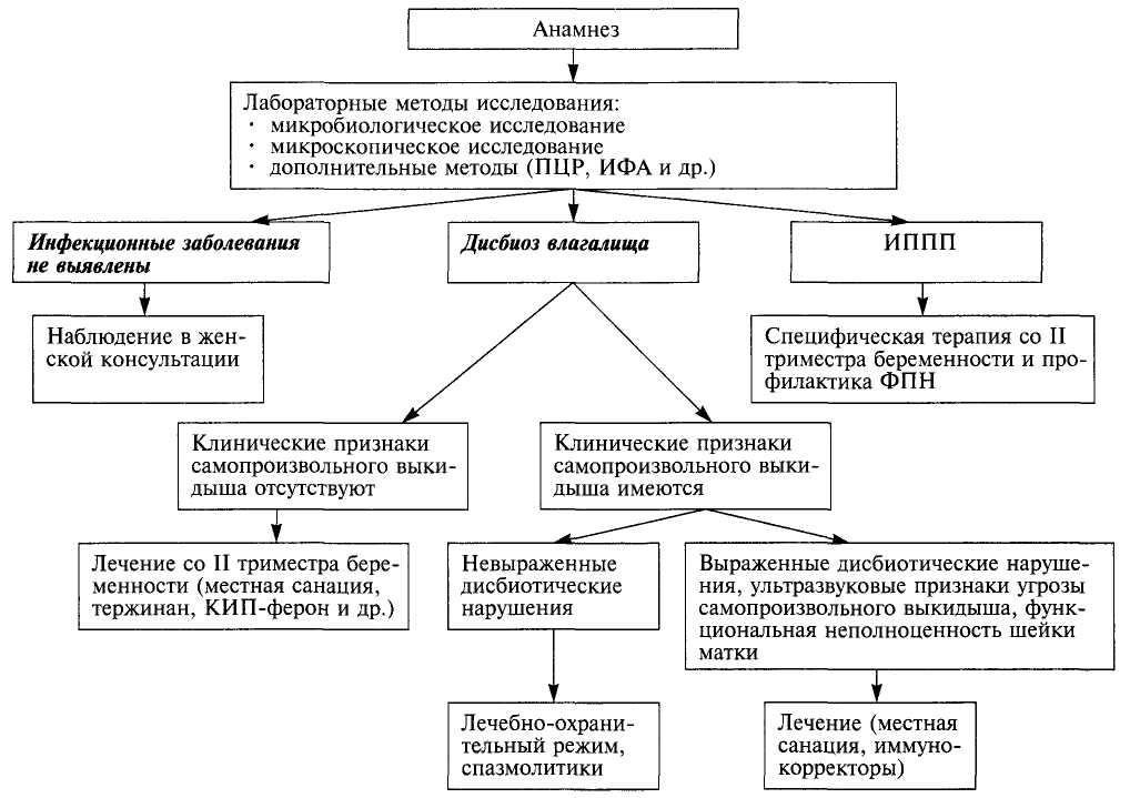 Анамнез выкидышу. Схема обследования беременной. Схема опроса и обследования беременных. Схема обследования беременной женщины. Невынашивание беременности тактика ведения.