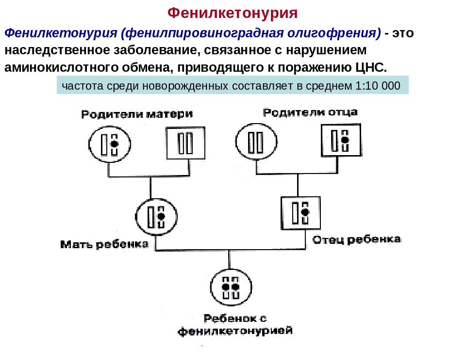 Фенилкетонурия генотип. Фенилкетонурия Тип наследования аутосомно. Наследование фенилкетонурия Тип наследования. Фенилкетонурия схема наследования. Фенилкетонурия это наследственное заболевание.