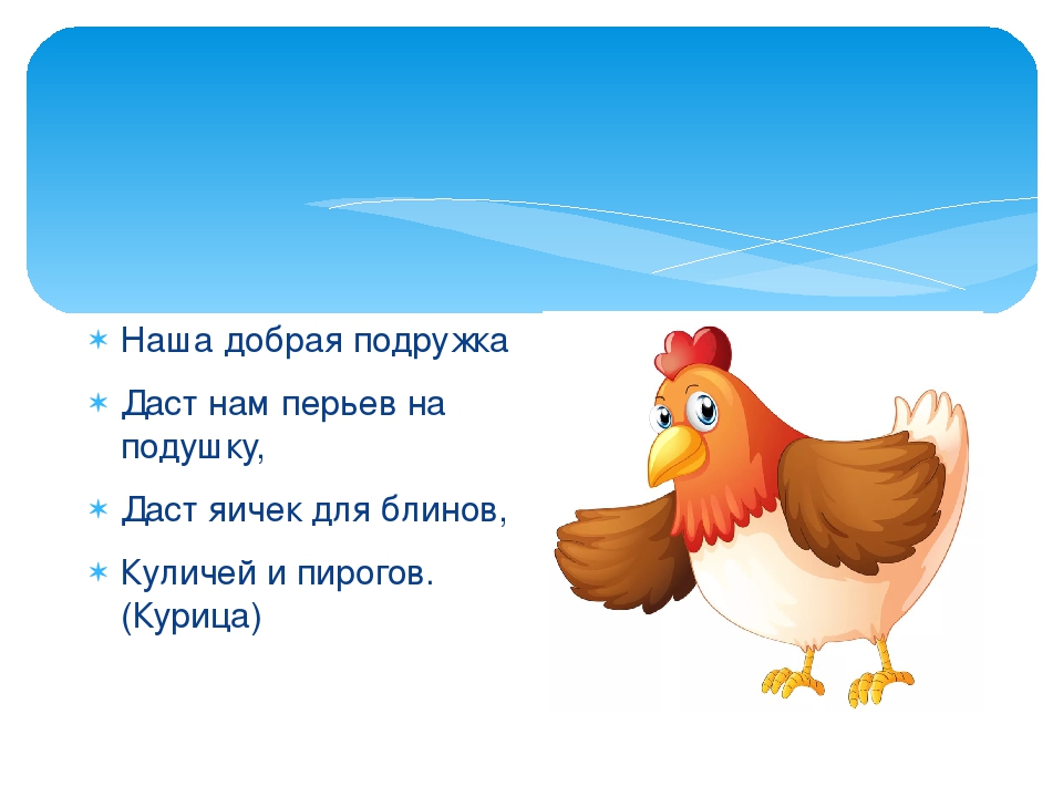 Слово кура. Загадки про домашних птиц. Загадка про курицу. Загадки про домашних птиц для дошкольников. Загадка про курицу для детей.