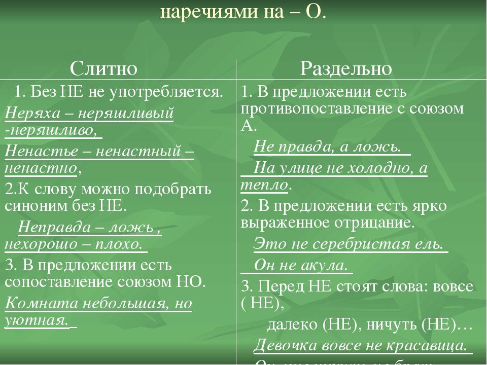 Не с существительными и прилагательными презентация 5 класс