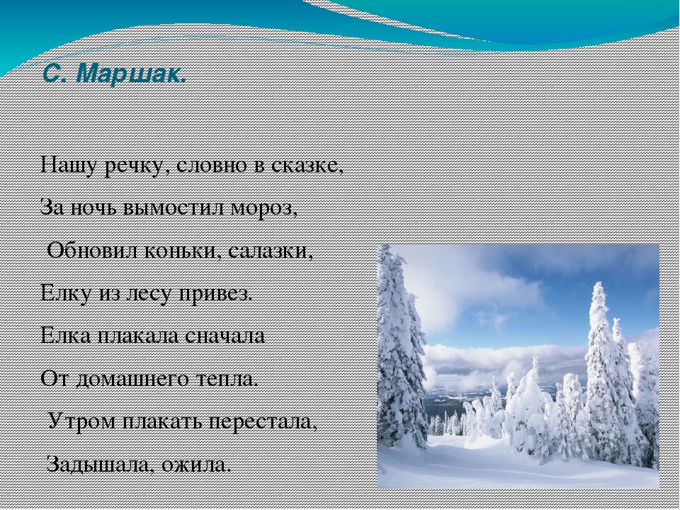 Стих в декабре все деревья. Стихотворение нашу речку словно в сказке. Нашу речку словно в сказке за ночь вымостил Мороз. В декабре в декабре стихотворение. Стих нашу речку словно в сказке за ночь вымостил Мороз.