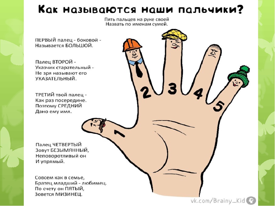 Почему палец назвали палец. Название пальцев на руке. Название пальчиков. Пальцы рук название каждого.