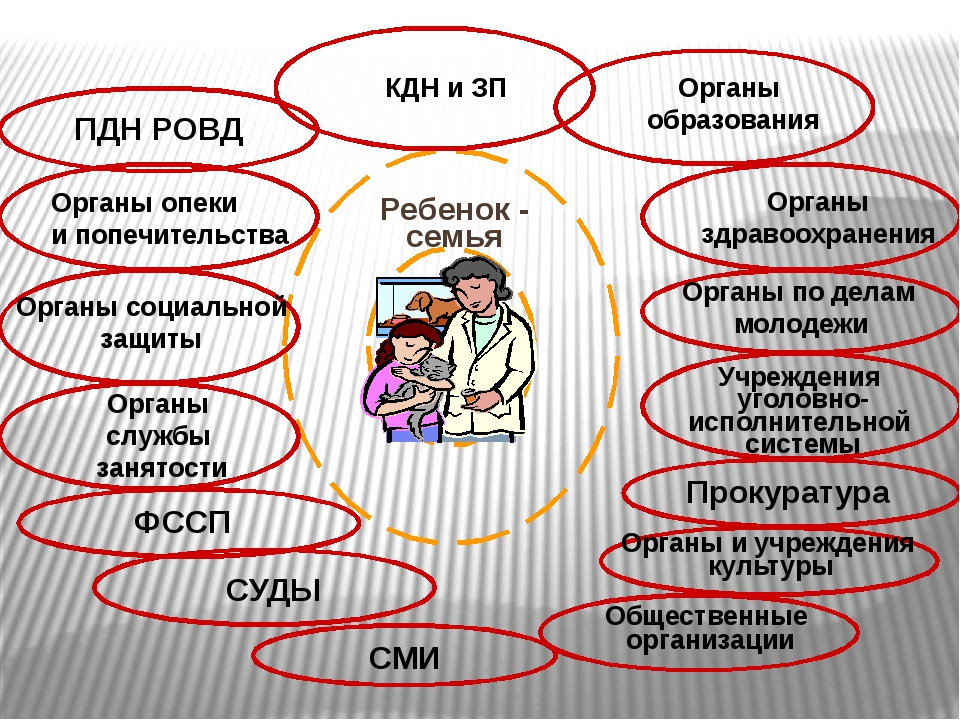 Схема социального окружения семьи