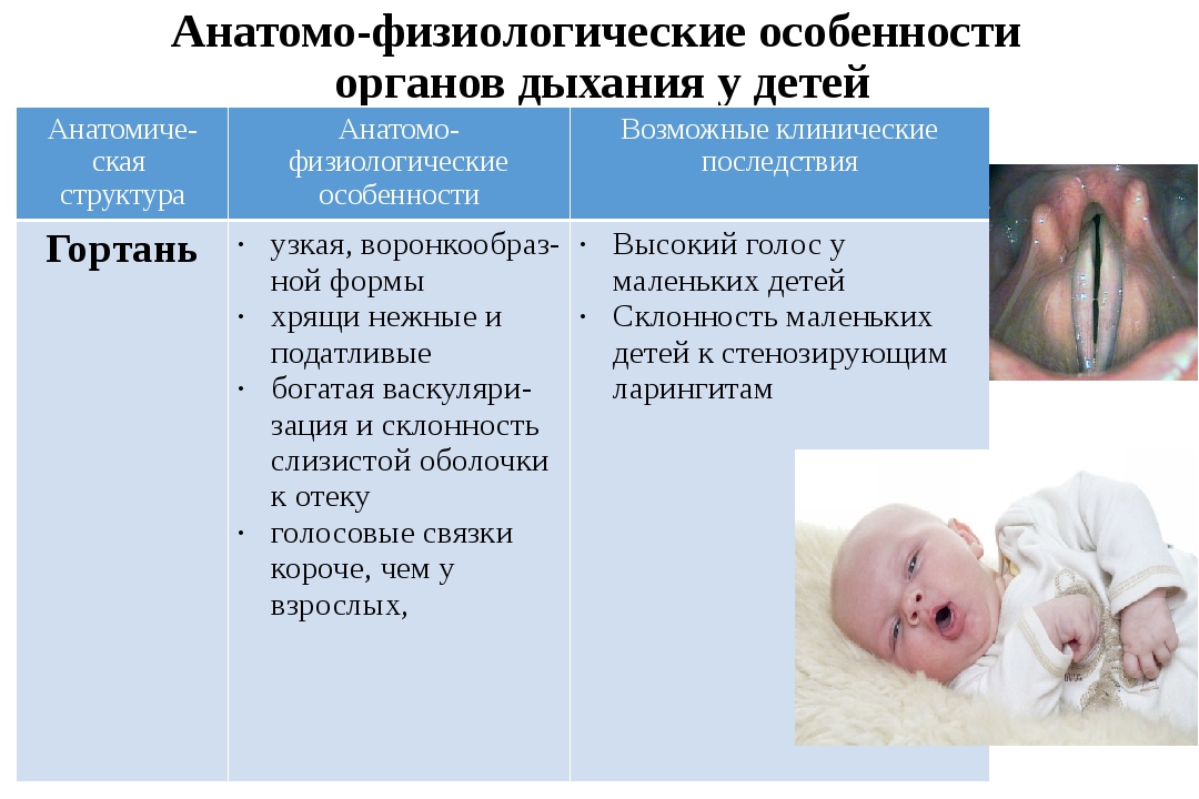 Анатомо физиологические особенности органов дыхания у детей презентация