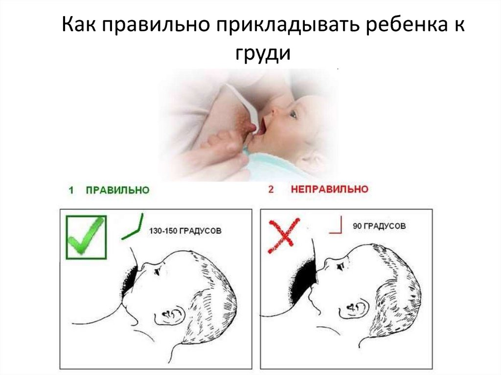 Как правильно кормить новорожденного грудью лежа: Секреты комфортного ГВ