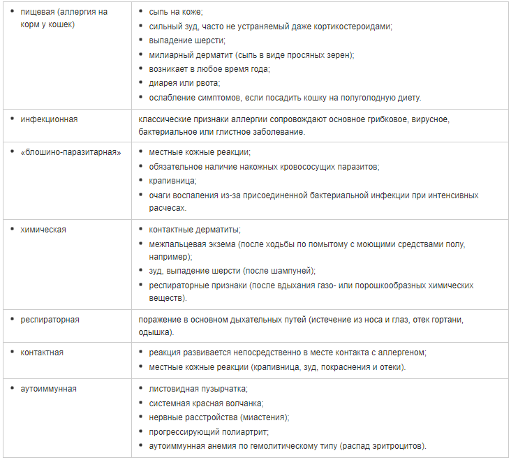 Как у ребенка проявляется аллергия на кошку. Пищевая аллергия у кошек симптомы. Аллергия на кошек симптомы. Диета при аллергии на кошек. Аллергия на кошек признаки.