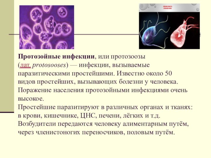 Как распознать протозойные инфекции: Скрытые угрозы и защита организма