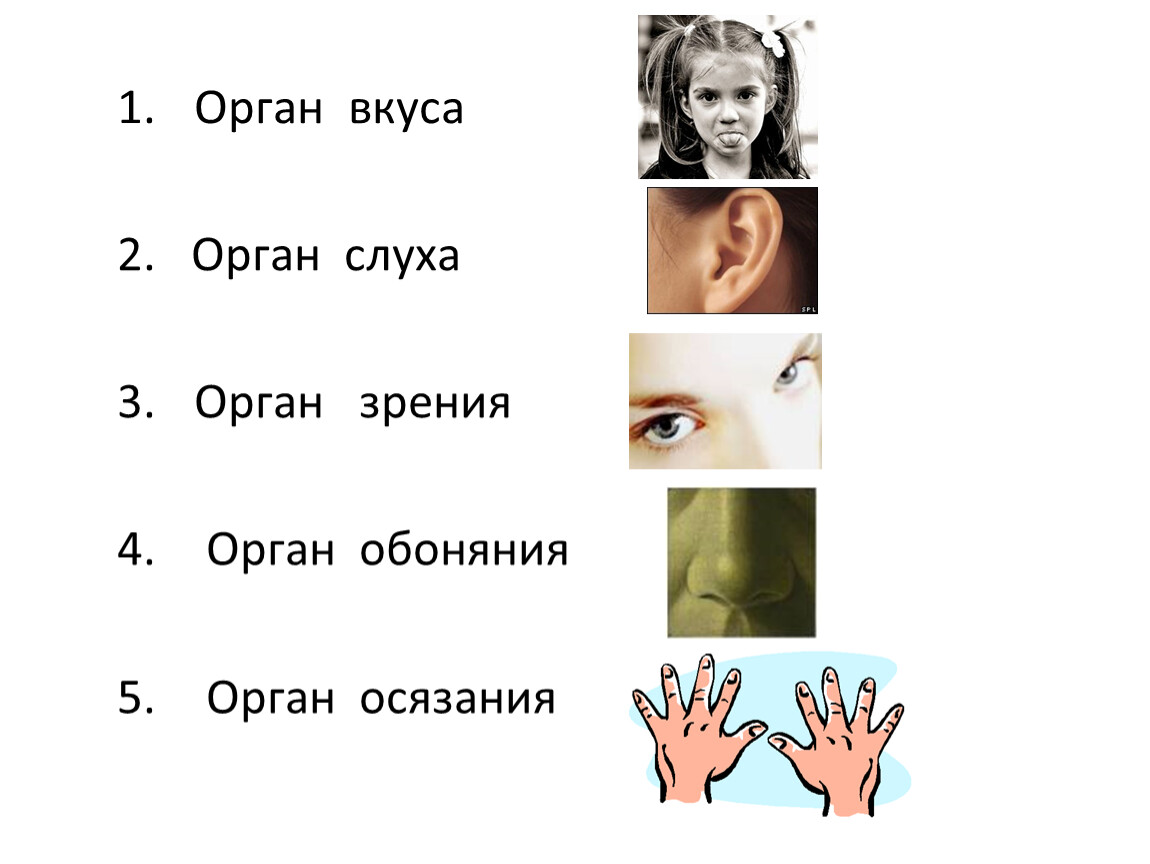 Как развивается зрение и слух младенца: Удивительное путешествие в мир чувств