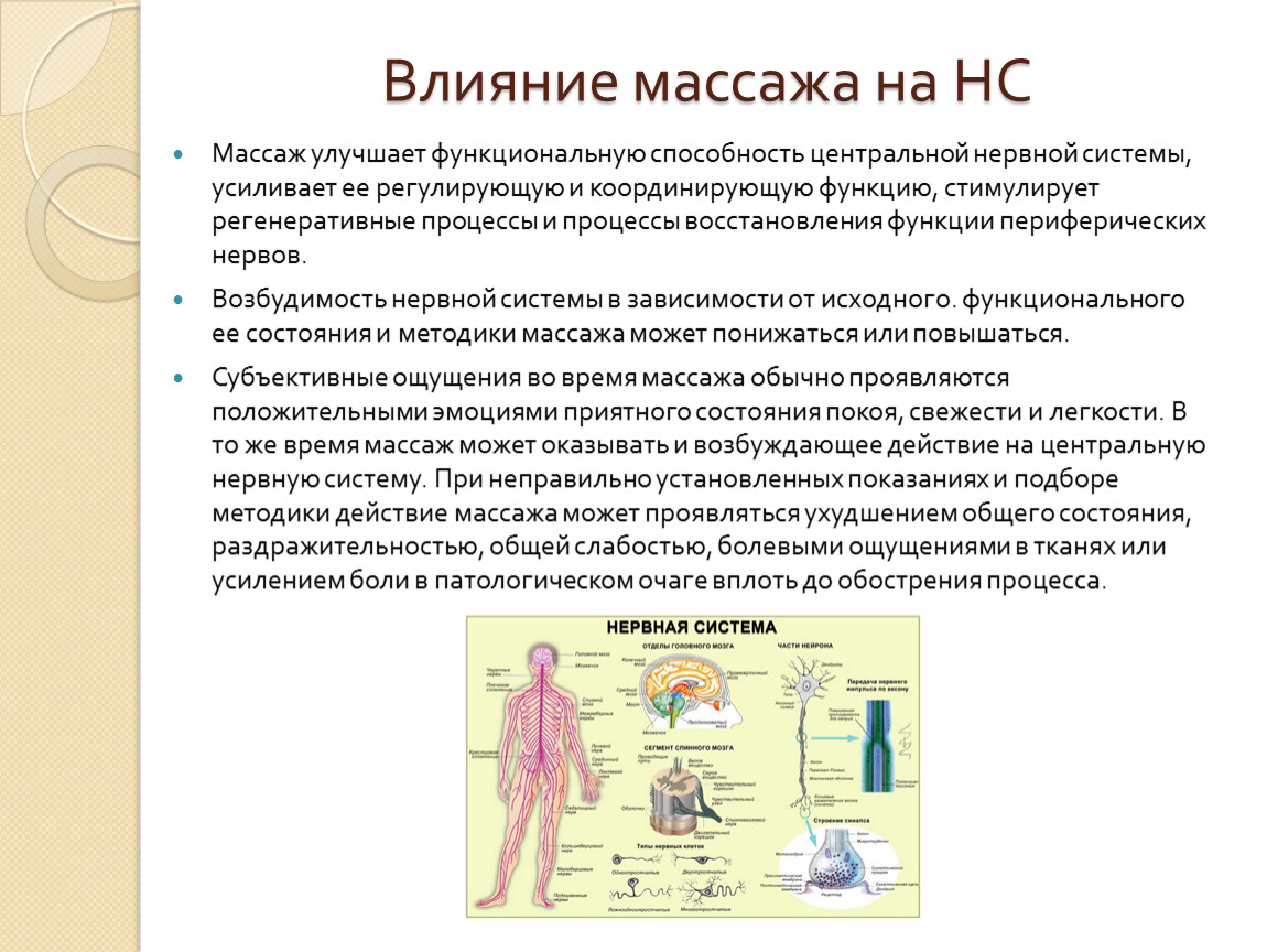 Как массаж меняет наше тело: Секреты физиологического воздействия