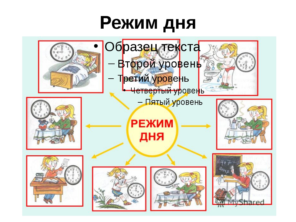 Режим дня школьника проект