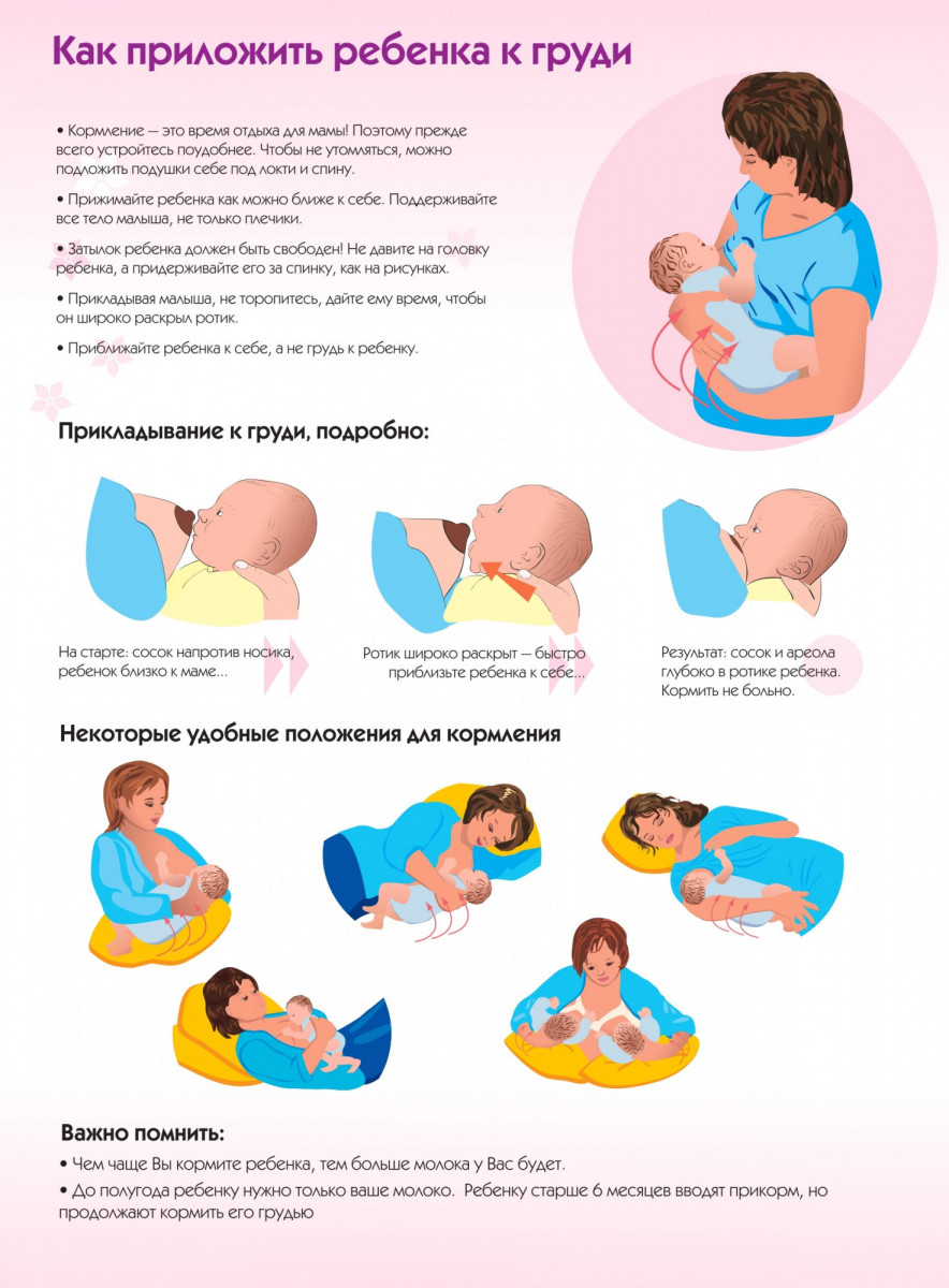 Как правильно кормить грудью новорожденного: Секреты здорового питания малыша