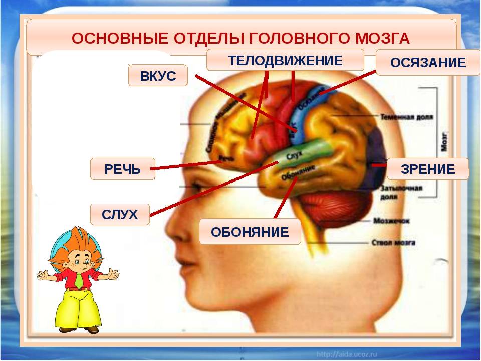 Как развивается зрение и слух младенца: Удивительное путешествие в мир чувств