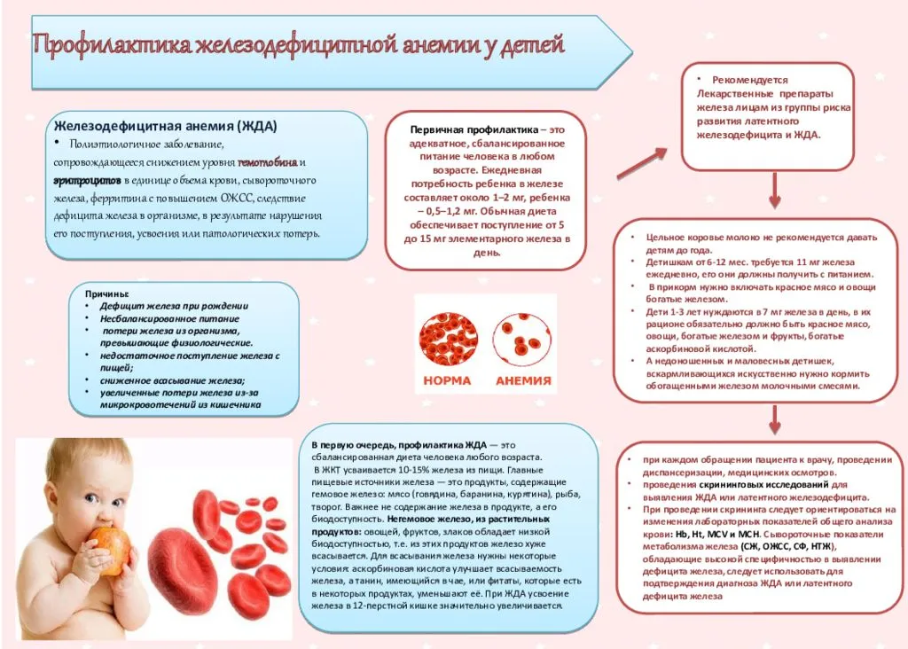 Профилактика заболеваний крови презентация