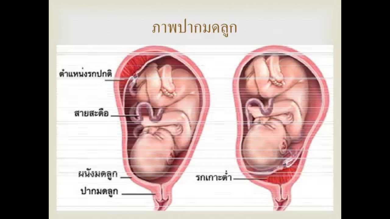 Плацента внутренний зев