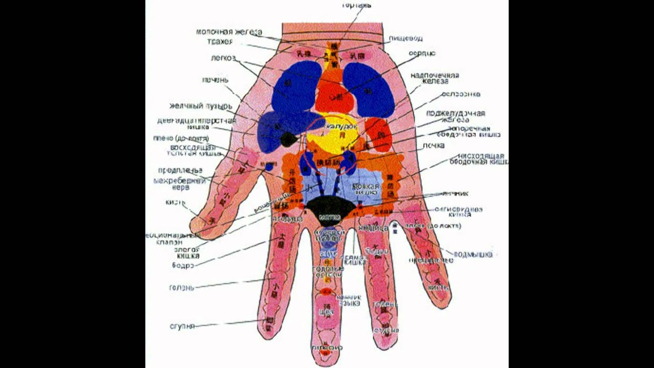Акупунктура ладони схема