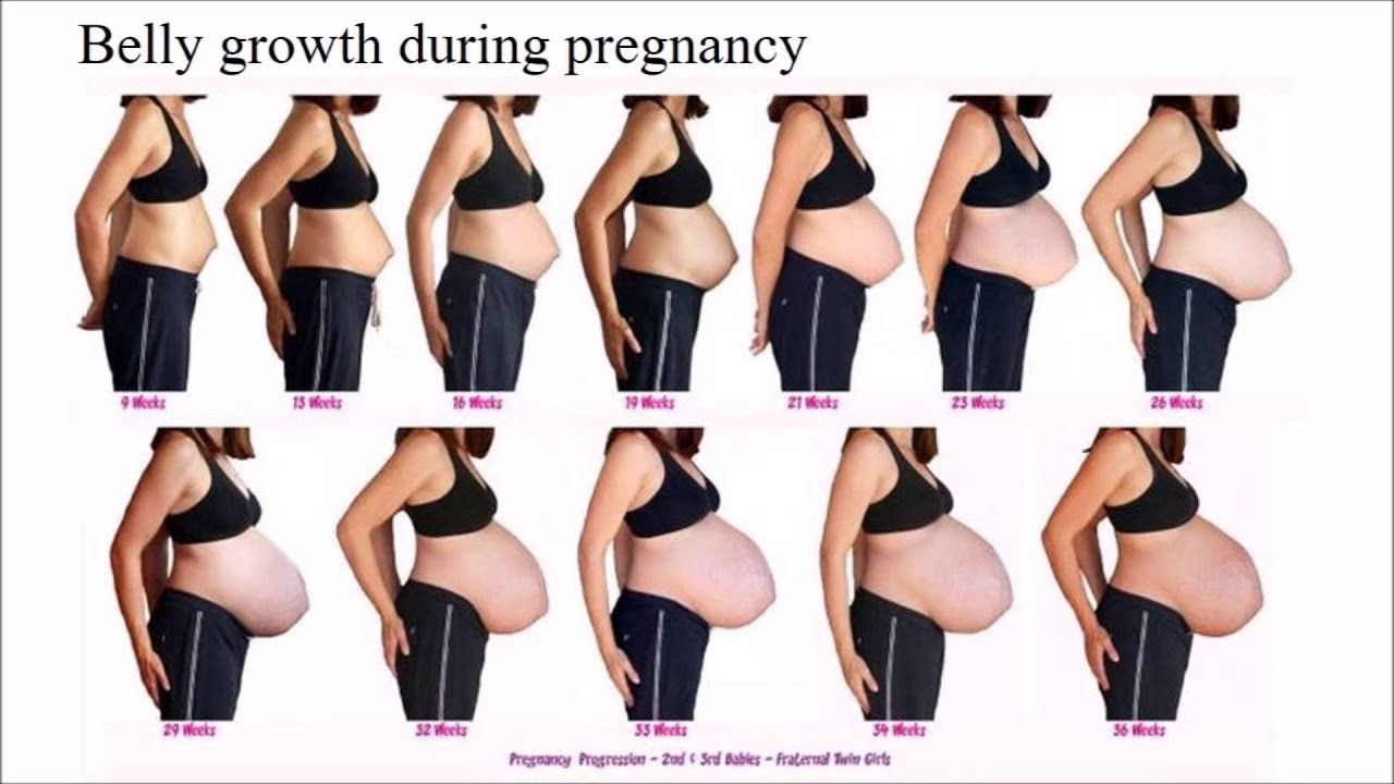 Размеры живота беременности по неделям фото