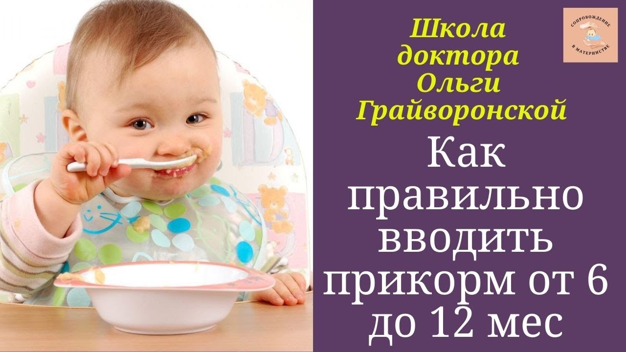 Как ввести прикорм малышу без стресса: секреты опытных мам