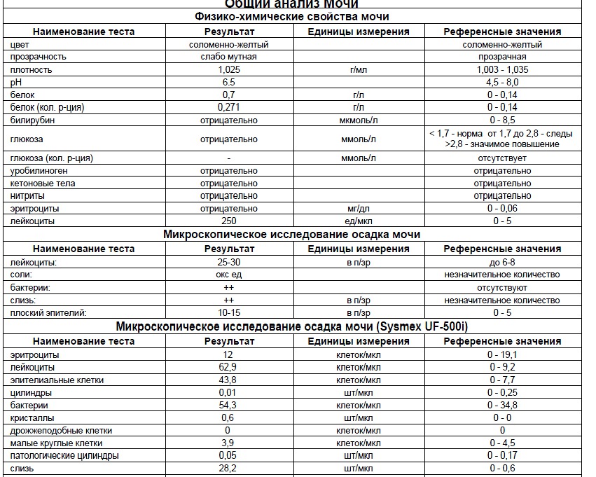Лейкоциты в моче ед