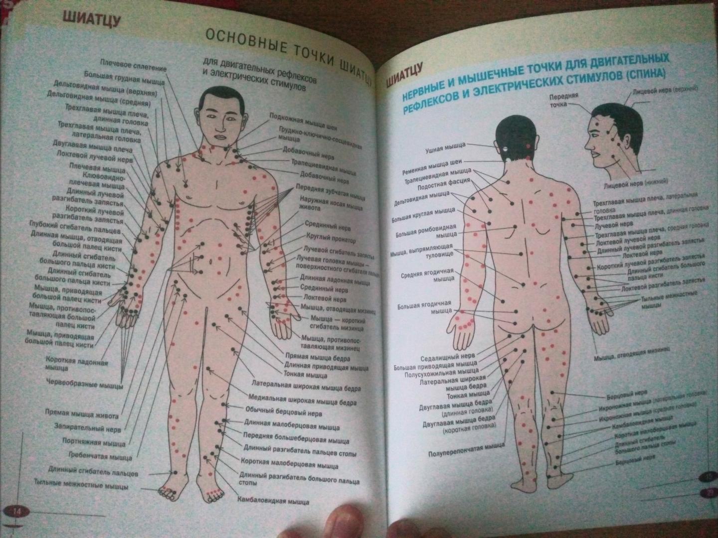 Как освоить искусство акупрессуры: Секреты целительного прикосновения