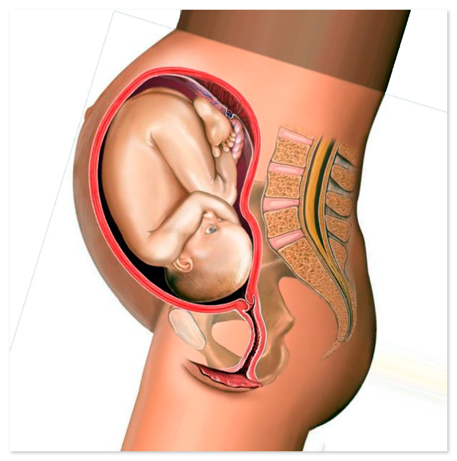 33 неделя беременности что происходит с малышом и мамой фото