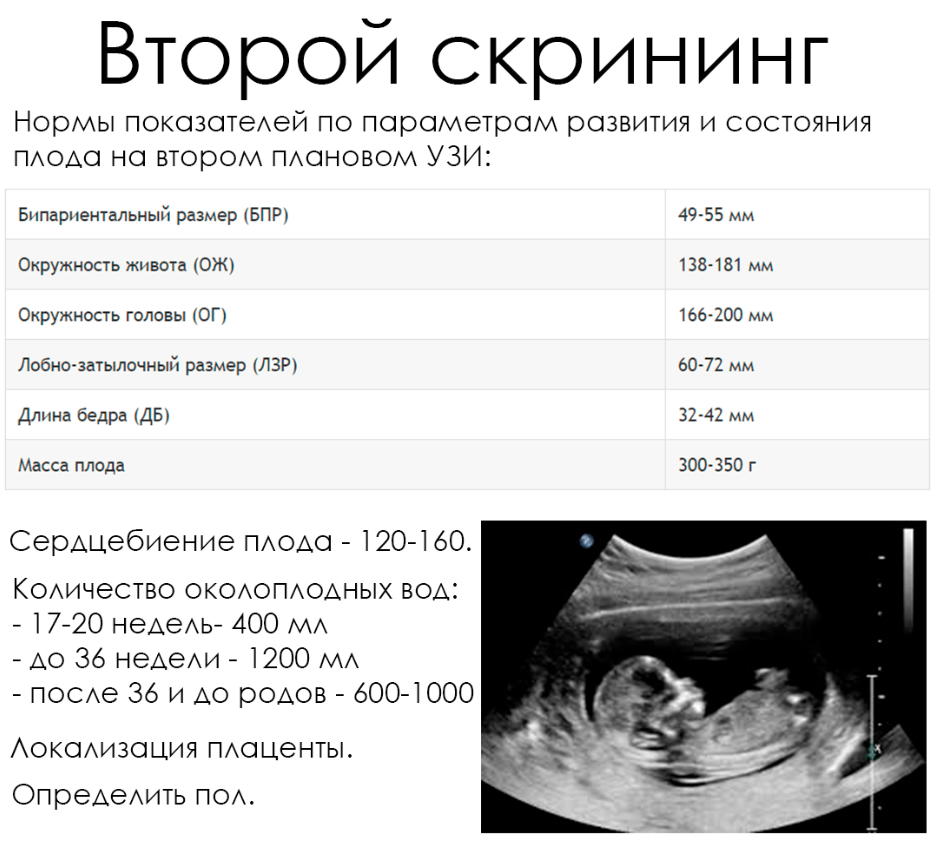 Как измерить малыша в утробе: Точный расчет размеров плода по УЗИ